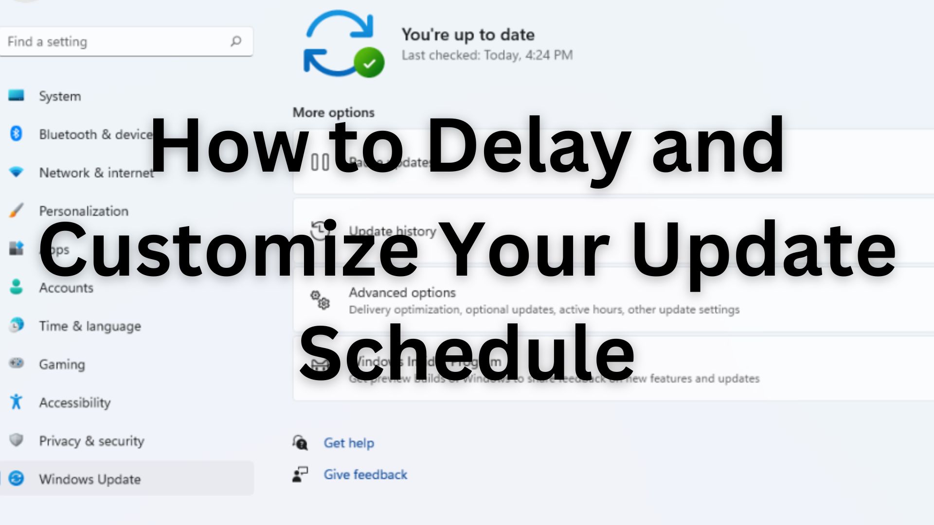 Delay and Customize Your Update Schedule