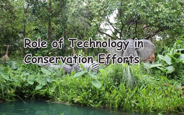 Role of Technology in Conservation