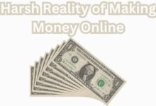 Harsh Reality of Making Money Online