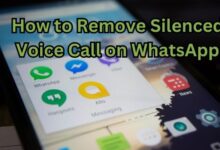Silenced Voice Call