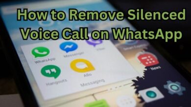 Silenced Voice Call