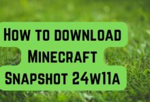 Minecraft Snapshot 24w11a