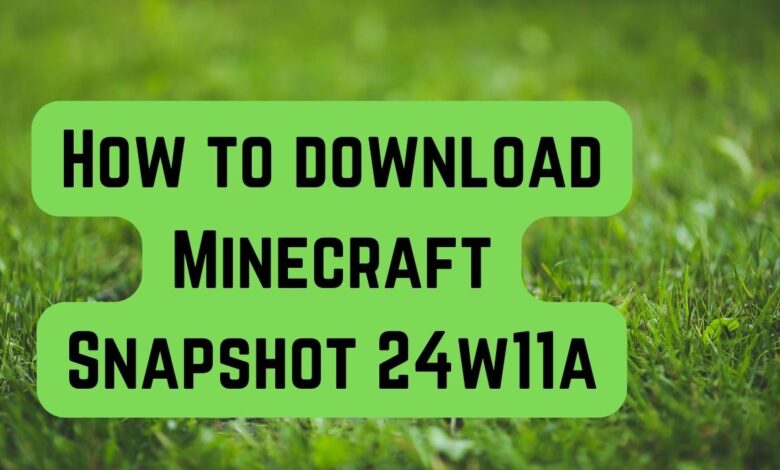 Minecraft Snapshot 24w11a