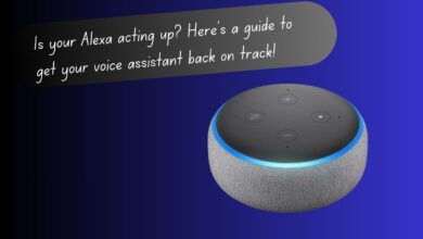 How to Fix Alexa When She Is "Having Trouble Understanding Right Now"