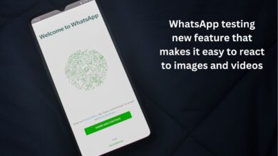 WhatsApp testing new feature that makes it easy to react to images and videos